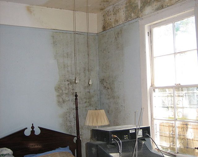 What Is Damp Proofing?