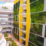 Synergy of architecture and gardening – living walls and roofs