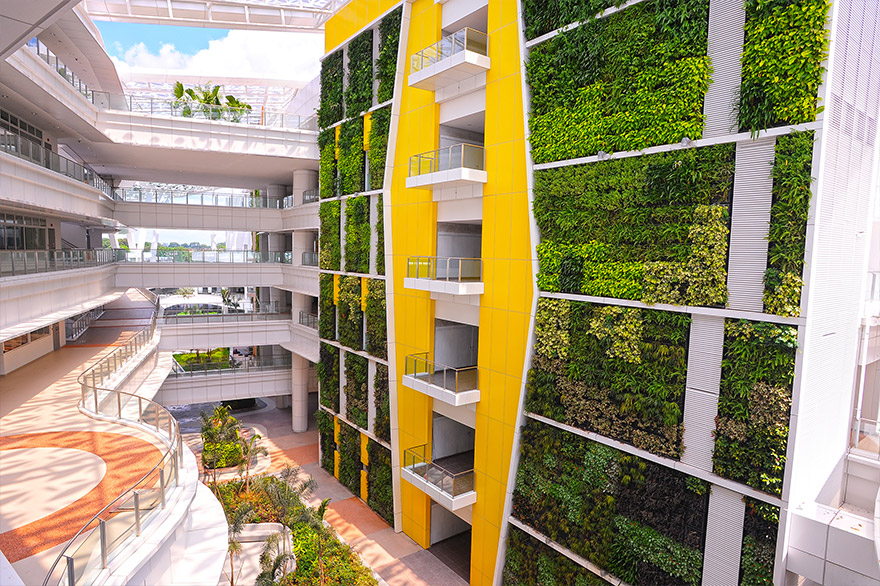 Synergy of architecture and gardening - living walls and roofs ... - Gardening Concept For Living Buildings