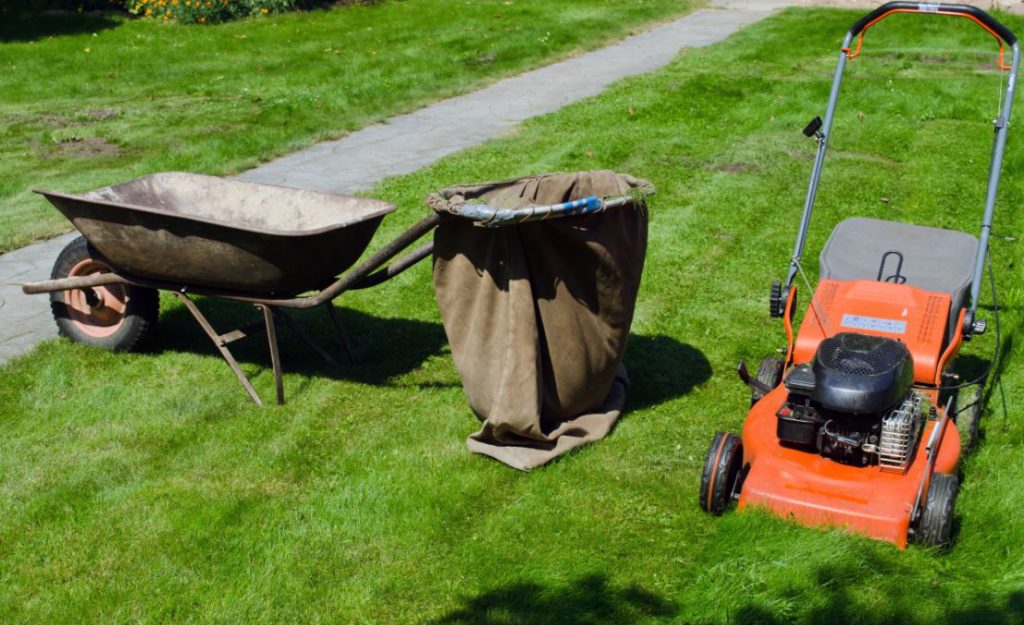 Lawn Care How to Nurture Your Yard This Summer