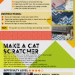 Upcycling Your Rug – Infographic