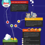 What’s Clogging Your Drains – Infographic