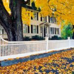 Stand Out: 3 Landscaping Strategies To Make Your Curb Appeal Pop