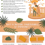 Infographic – Maintaining Timber Decking
