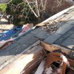 Roof Rot: How to Fix Your Moldy Home’s Fungi Problem