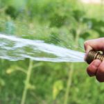 10 Ways to Conserve Water While Maintaining a Green Lawn