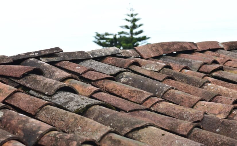 What to Do if Your Roof Is Damaged or Leaking