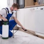 Important Questions to Ask a Pest Control Company Before Hiring Them